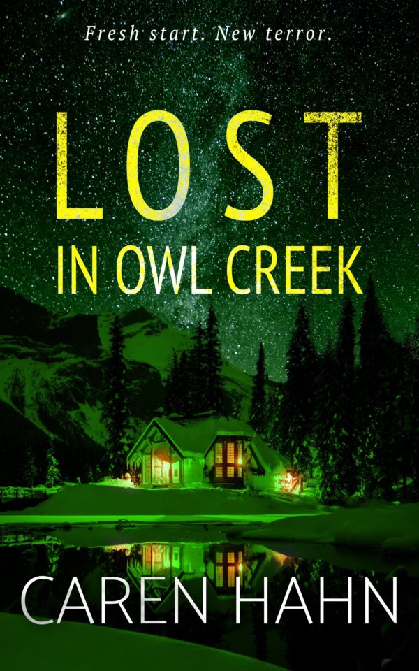 Sensitive topics portrayed in Lost in Owl Creek book cover